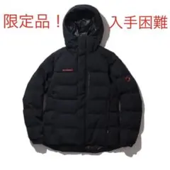 激レア‼️入手困難‼️ MAMMUT マムートメンズ 限定 roseg