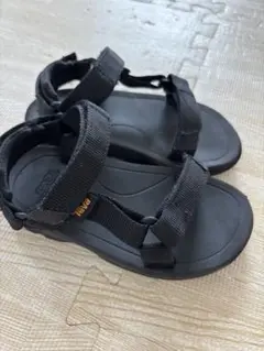 人気！Teva
