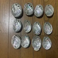 あわび貝殻セット 12個