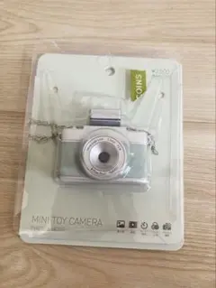 Item thumbnail for item 19bd7091-9737-4949-93f3-a06b4fbabb73