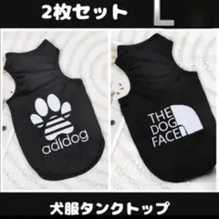 Item thumbnail for item e9340d6c-5095-4b74-94d0-f9bdbbb866c5