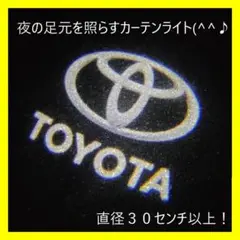 【最安】トヨタ カーテシライト カーテシランプ LED 2個セット 白白