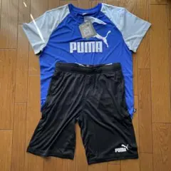 PUMA 半袖＆パンツ　160サイズ 青黒