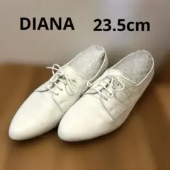 Item thumbnail for item e7a91767-6f90-47c8-8546-00a538f13b86