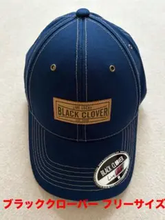 Item thumbnail for item 4d87610c-fef3-4127-964d-71567588ca33