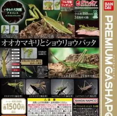 いきもの大図鑑アドバンス オオカマキリとショウリョウバッタ 全4種セット