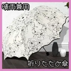 Item thumbnail for item 9b5728c6-d66d-4eeb-b841-3bcb874d0616