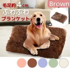 Item thumbnail for item e034df85-04ed-43fd-9fba-b93526d05341