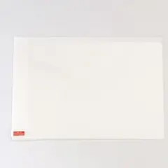 ⭐️IRIS OHYAMA LUCA Tablet TM101N1-B フィルム