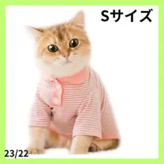 Item thumbnail for item 9abce3ff-917f-42ec-9210-529ae5595fe6