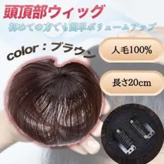 ウィッグ ヘアピース 茶 部分 つむじ 頭頂部 薄毛 円形脱毛症 人毛