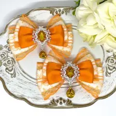 Item thumbnail for item 9ce4307a-2ea6-459f-bfcd-37d1dbe4f66c