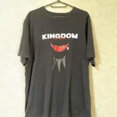 ユニクロ ✖︎ キングダム 王騎 コラボTシャツ★XL
