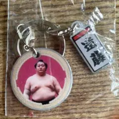 相撲ガチャ【遠藤】キーホルダー