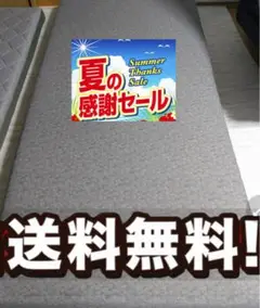 全国送料無料！ニトリ ポケットコイル マットレス ロリー シングル