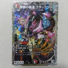 禁断の轟速ブラックゾーン　銀トレジャー