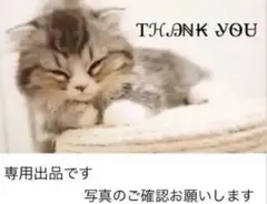 もりー様専用
