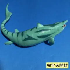 キンボスポンディルス　海の恐竜&co.