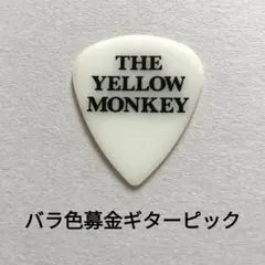 Item thumbnail for item a75261cf-4e0e-4489-a0a3-3af7cda80faa