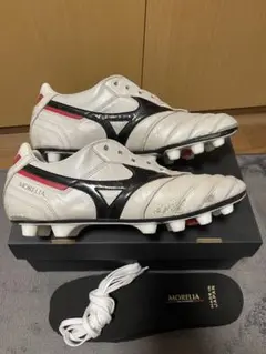 モレリア2 japan