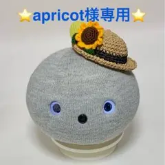 apricot様リクエスト　2点まとめ商品