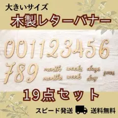 大きめ 19点セット 木製レターバナー マンスリーフォト 月齢フォト