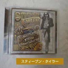 入手困難★レア★STEVEN TYLER スティーヴン タイラー ボストンバッグ 入手困難 レア STEVEN TYLER スティーヴン タイラー ボストン