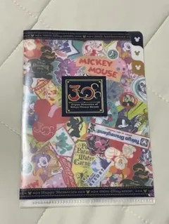東京ディズニーリゾート 30周年記念 クリアファイル