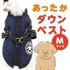 Item thumbnail for item 8bafb578-2348-46dd-9ff4-c4113a2fd9dd