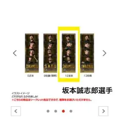阪神タイガース　B-LUCKシークレットフォトグレイ 坂本誠志郎選手