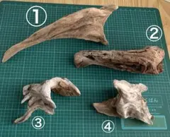 自然派インテリアに◎ 流木4本セット アクアリウム・ハンドメイド・ディスプレイ用