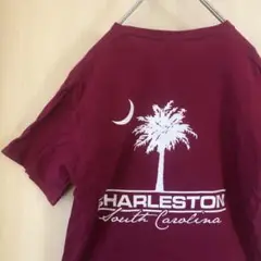 ギルダン　バックプリント半袖Tシャツ　赤紫　ボタニカル　ヤシの木　三日月　M