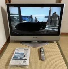 Panasonic VIERA LX60 TH-26LX60