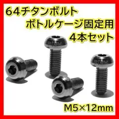 銀 64チタンボルト M5×12mm 4個 オイルスリック ボトルケージ ネジ