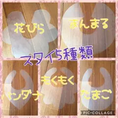 型紙＊スタイ5種類
