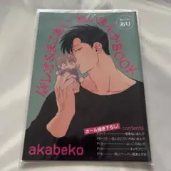10周年記念 小冊子 akabeko 店レオ&まこあい ぬいまんがBOOK