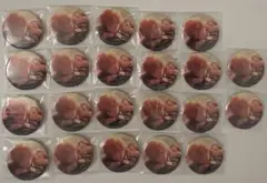 Item thumbnail for item 9a19c6f8-6d83-4809-a06b-6d15ab4fd96d
