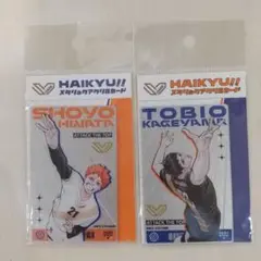 SV.LEAGUE × ハイキュー‼︎ メタリックアクリルカード2種セット