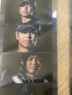 阪神タイガース　梅野隆太郎選手　B-LUCKシークレットフォトグレイ