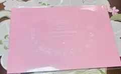 Sanrio サンリオ 声優 コンサート パンフレット パンフ