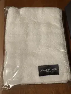 Item thumbnail for item 0f1893cd-9ba3-46d2-932a-5b1a0d5c6005