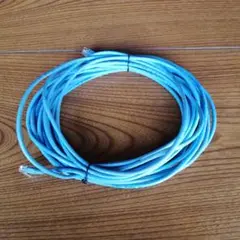 ELECOM 長尺 LANケーブル 10m