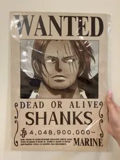 手配書 SP 四皇4種類フルセット WANTED PSA10 手配書 SP 四皇4種類フルセット WANTED PSA10 - メルカリ