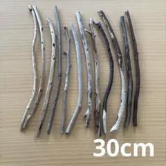 Item thumbnail for item 5728e962-f243-49f2-9b76-142185d3b3f5