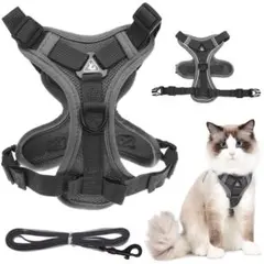 Item thumbnail for item 8bb37d7b-69e5-4864-a286-23872e558950