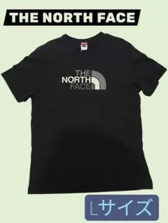 ノースフェイス海外限定Tシャツ　メンズLサイズ　ブラック
