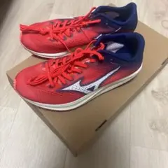ミズノ　クロノディストネオ