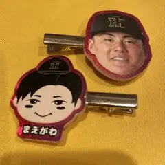 前川右京　阪神タイガース　ラメヘアクリップ