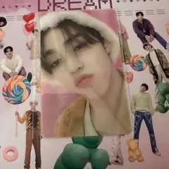 SEVENTEEN DREAM トレカ エスクプス