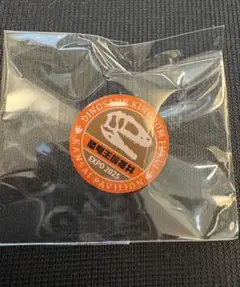 Item thumbnail for item 0e11824f-f4c7-409c-9bd5-5c18fea1be0d